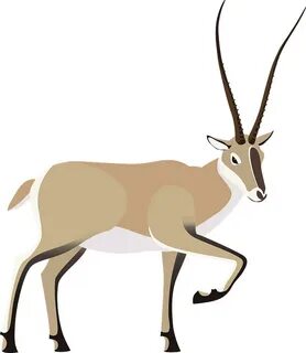 Tibetan antelope clipart. Free download transparent .PNG Cre