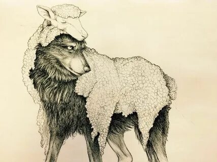 Sheep Killing Wolves Art Related Keywords & Suggestions - Sh