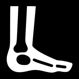 Foot X Ray Svg Png Icon Free Download (#492437) - OnlineWebF