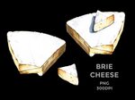 brie cheese watercolor by Andrii Bondarenko on Dribbble