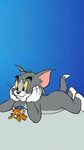 Tom And Jerry iPhone Wallpapers - Wallpaper Cave