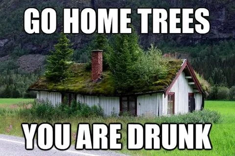 The Very Best Of The "You Are Drunk"... LOL! ❤ Drunk memes, 