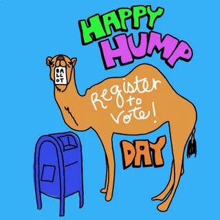 Lcv Happy Hump Day GIF - Lcv Happy Hump Day Hump Day - Disco