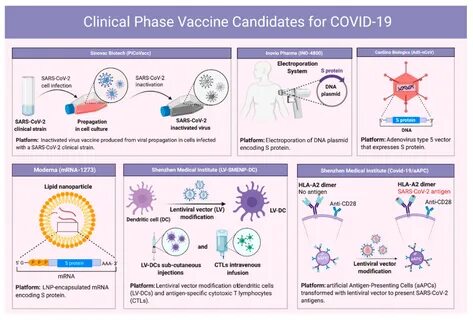 Figure 5.Clinical phase vaccine candidates for COVID-19. 