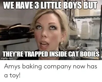 🐣 25+ Best Memes About Amys Baking Company Meme Amys Baking 