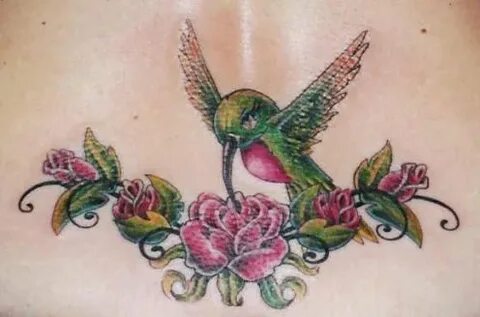 Tattoos Of Humming Bird: Hummingbird Tattoo Designs For Wome