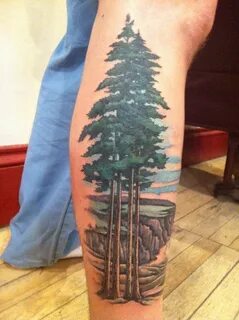 FYeahTattoos.com Redwood tattoo, Tattoos, Tree tattoo