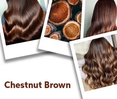 Chestnut Brown Hair Color Ideas & Formulas Wella Professiona