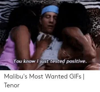 Gif Malibu's Most Wanted Meme - Entrepontos