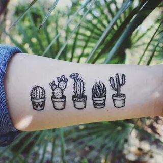 Potted Cactus Temporary Tattoos, Succulent House Plants, Bla