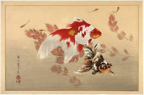 Goldfish Art, Japanese Art Styles, Japanese Prints, Chinese Painting, Chine...