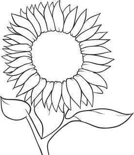 Download High Quality Sunflower Clip Art Template Transparen