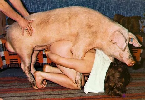 Порно Видео Свинья Трахает Девушку