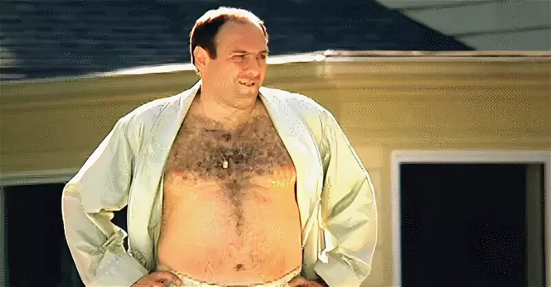 Tony soprano the sopranos GIF - Find on GIFER