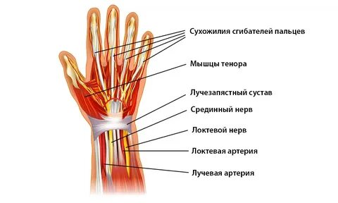 Болит большой палец на руке у основания, лечение в Москве