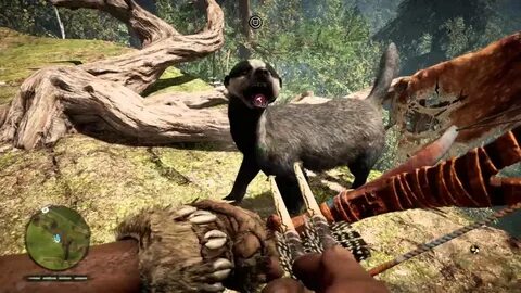 Far Cry ® Primal, badger companion. - YouTube