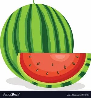 Watermelon vector illustration eps8. Download a Free Preview