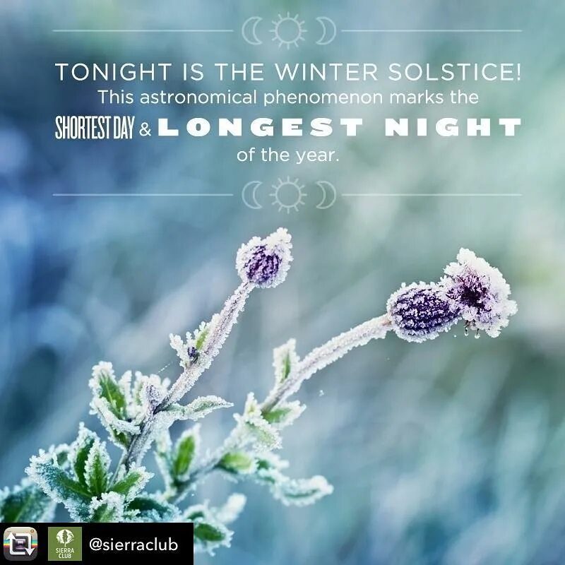 Kristin Bauer в Instagram: "Happy winter solstice! 