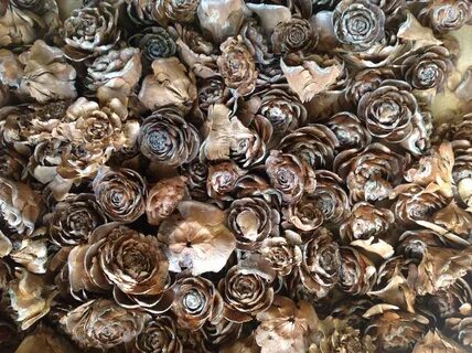 100 Cedar roses cedar rose pine cone Wood Rustic Wedding Flo