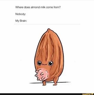 Where does almond milk come from? Nobody: My Brain: - iFunny