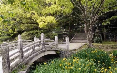 Фотография "японский сад" .