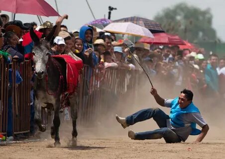 Small Mexican Town Honors Donkeys in Annual Festival