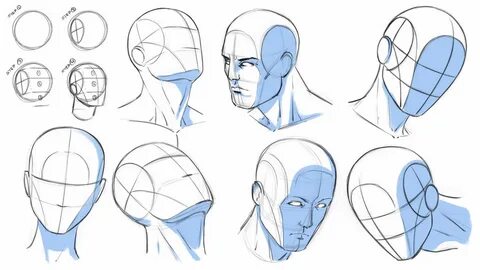 How to Draw Heads at Various Angles - Reference by robertmar