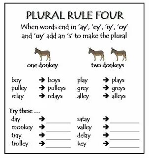 Pin on Singular and Plural