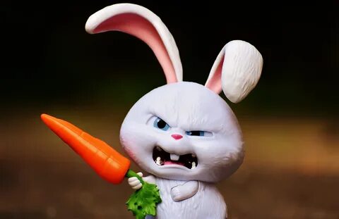 Angry white bunny with carrot free image download