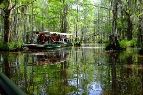 Learn the Legend Behind the Honey Island Swamp Monster of Lo