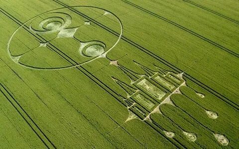 Section: Crop Circles 2022 July