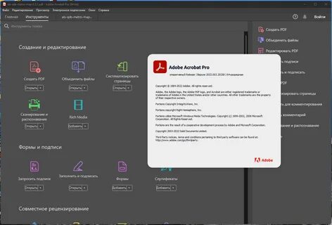 Adobe Acrobat Pro DC 2022.003.20258 (x64) RePack by KpoJIuK Multi/Ru " Торрент с