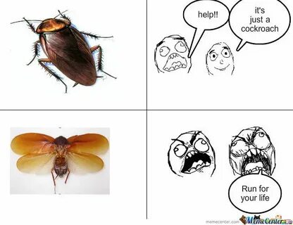 Cockroaches by marvingwapz - Meme Center