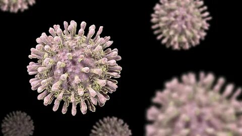 Fifth Person Cured Of Hiv