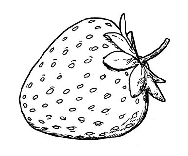 Drawing Strawberry Pear Drawings Getdrawings Sketch Coloring