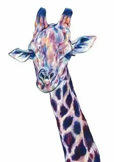 Giraffe - Claudine O’Sullivan Giraffe print tattoos, Giraffe
