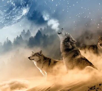 Fondo de pantalla para celular: Animales, Fantasía, Luna, Lobo, Wolves desc...