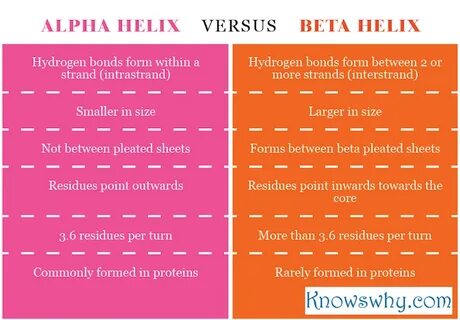 Alpha helix VERSUS Beta helix - KnowsWhy.com