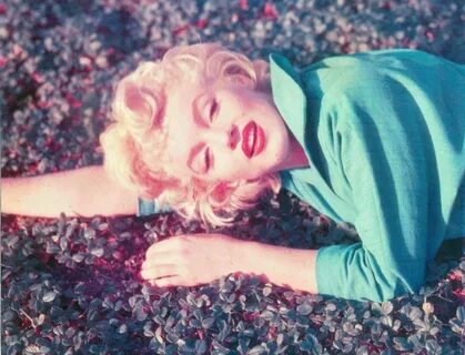 blond, colour and marilyn monroe - image #275296 on Favim.co