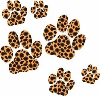 Leopard Paw Print Stickers: Amazon.co.uk: Kitchen & Home Paw