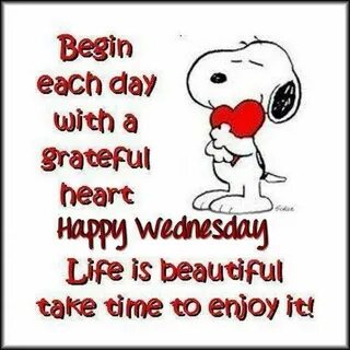 Happy Wednesday! Happy wednesday quotes, Snoopy quotes, Tues