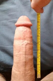 16cm penis