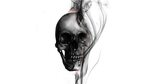 Tumblr Skull Aesthetic Wallpaper - Ahong Png