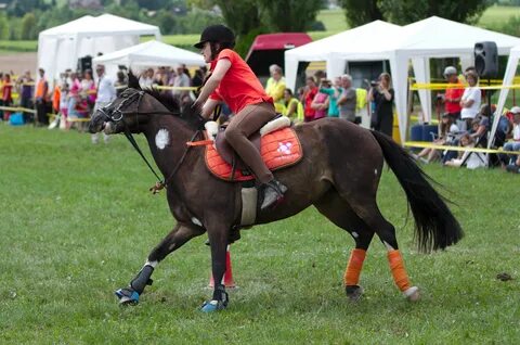 File:4ème manche du championnat suisse de Pony games 2013 - 
