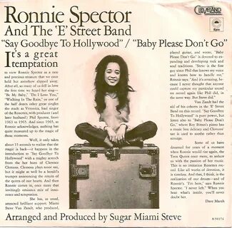Ronnie Spector & The E Street Band " SO MANY RECORDS, SO LIT