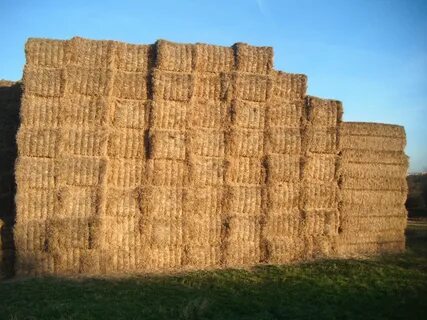 Download free photo of Hay,bales,fields,autumn,farm - from n