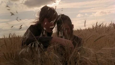 Stills - Days of Heaven