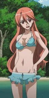 Akame ga Kill Bikini Contest Anime Amino