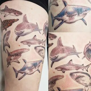 Shark thigh! 