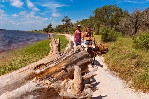 Carolina Beach State Park Hiking 2 - ATRA